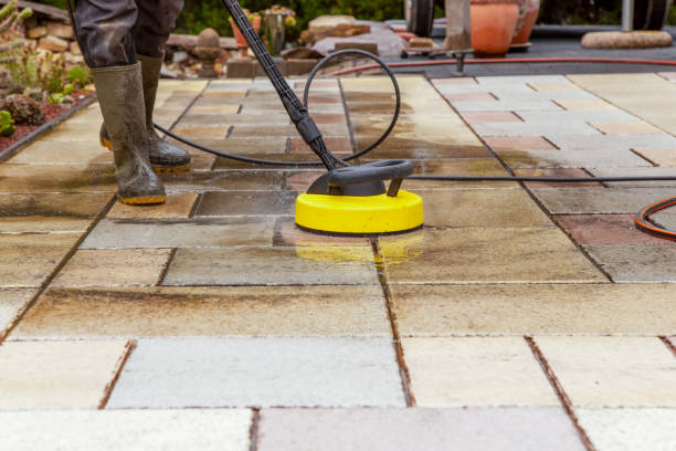 Best Animal Enclosure Cleaning  in Cohasset, MN